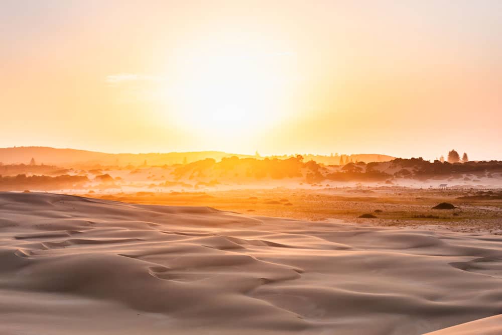 worimi national park sand dunes