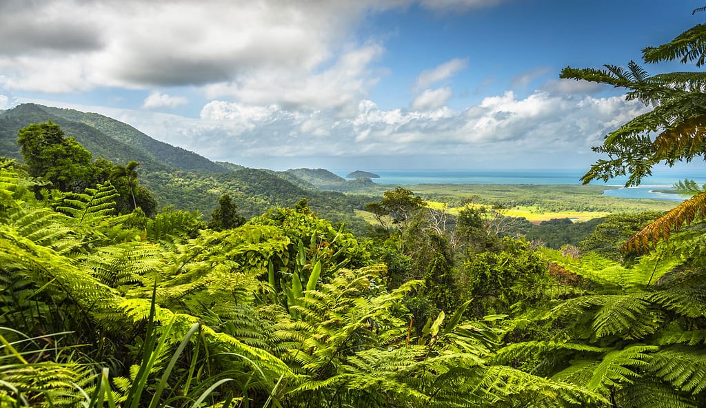 The 10 Best Things to Do in Port Douglas