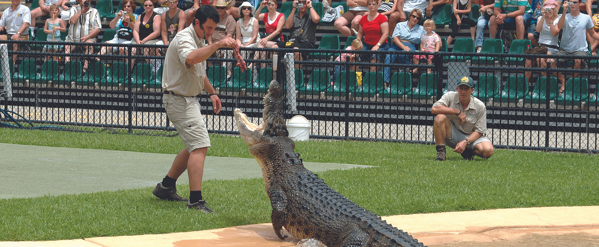 Australia Zoo Crocodile Show